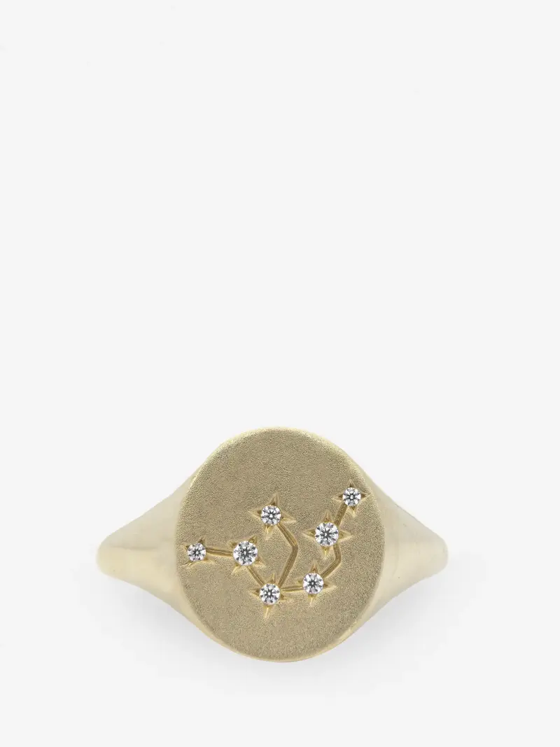 Anillo Acuario