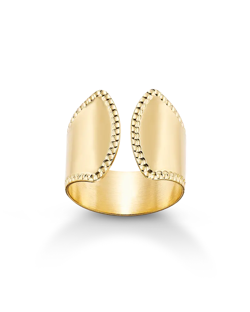Anillo Albéniz, plata dorada