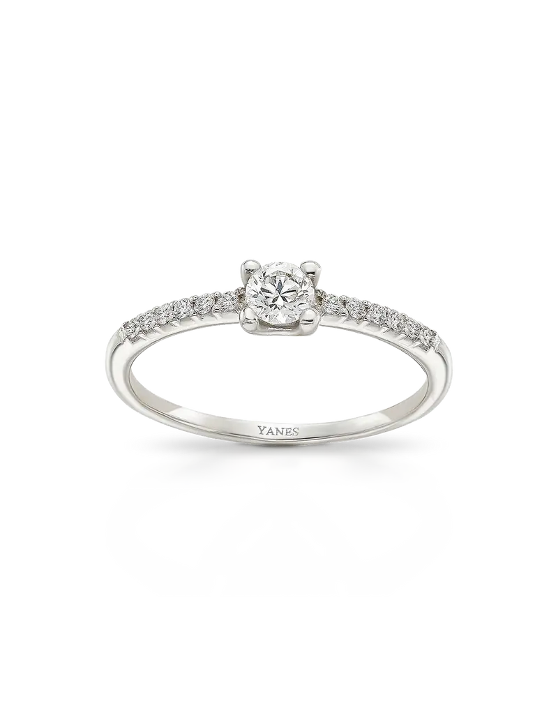 Anillo Margherita diamantes, oro blanco