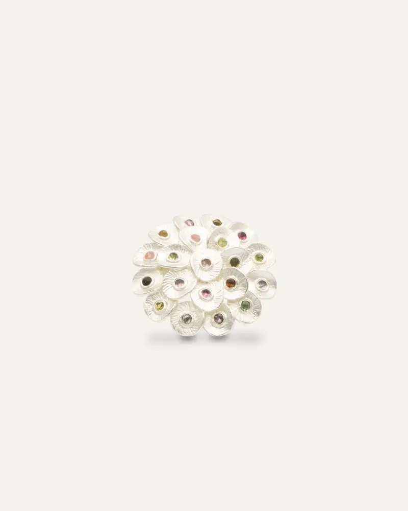 Anillo Plateado Peacock Multi