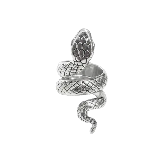 Anillo Serpiente XL plata de ley