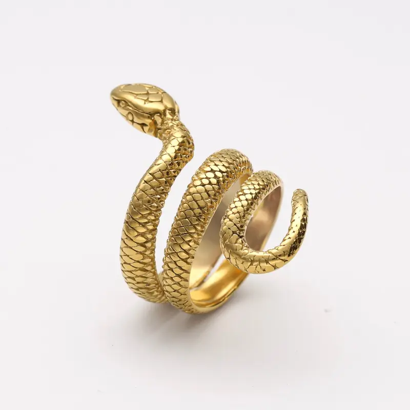 Anillo Sin