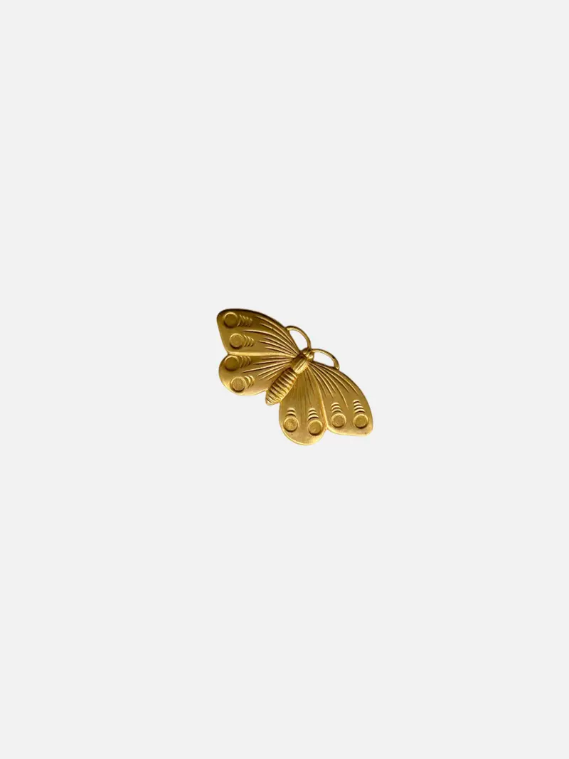 Broche Fly
