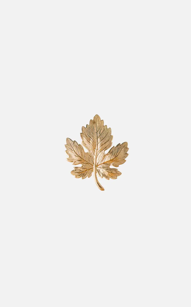 Broche Hoja de Parra