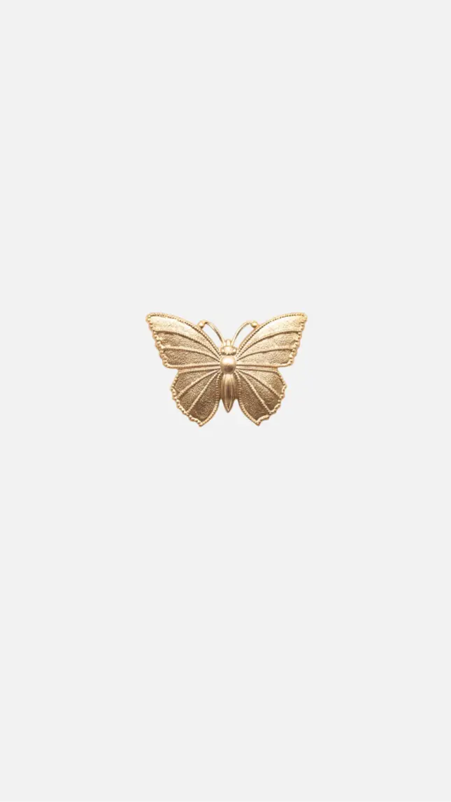 Broche Mariposa Vintage