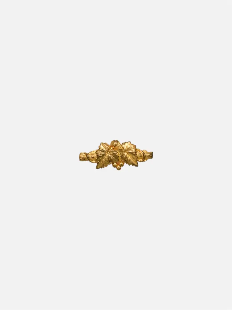 Broche Parritas