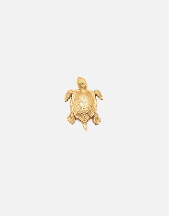 Broche Tortuga Mini