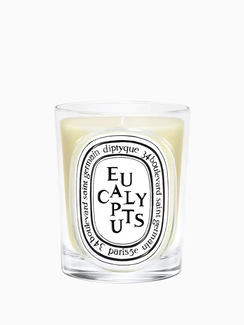 Eucalyptus candle 190gr