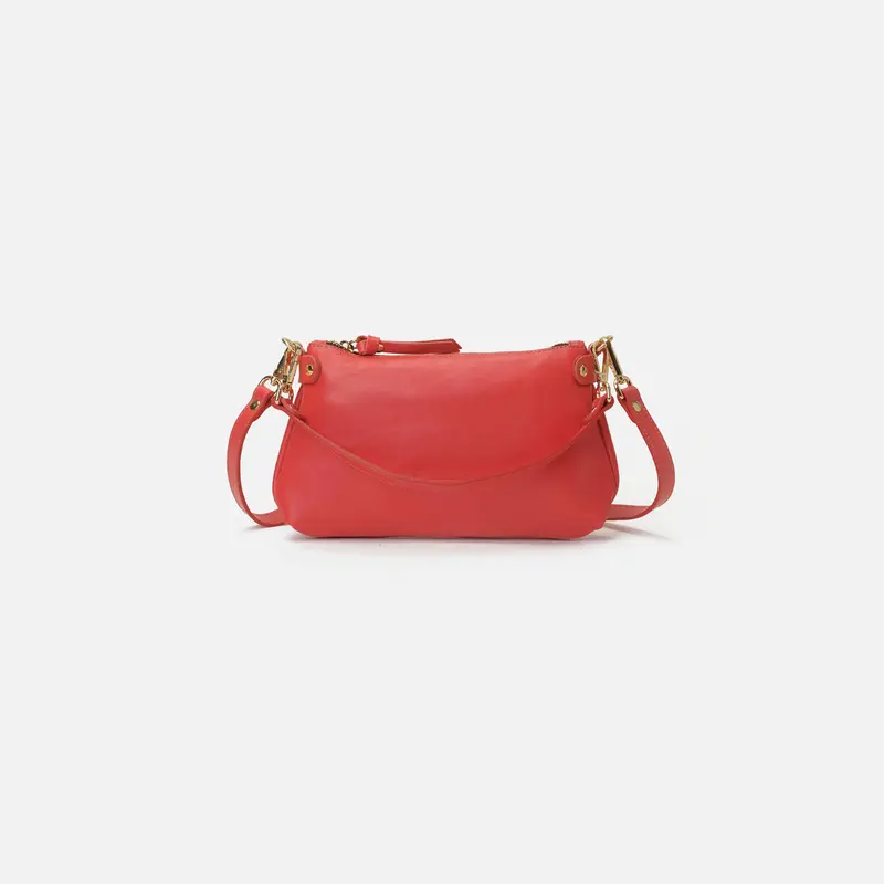 Foxy Coral