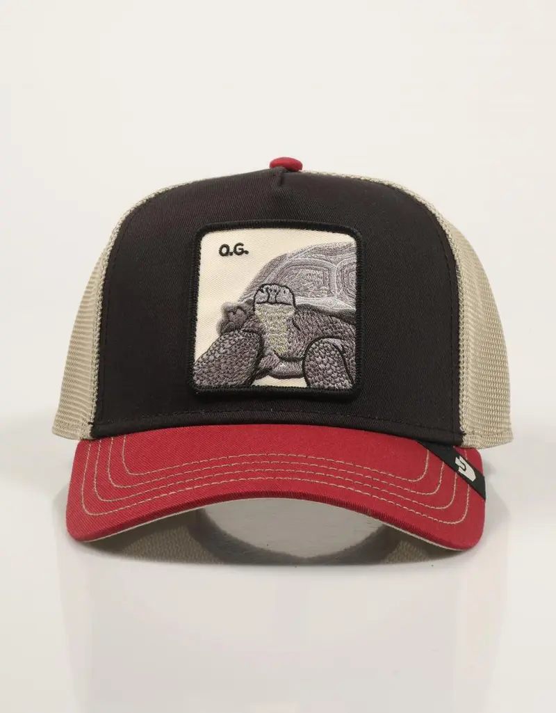 GOORIN BROS TRICOLOR TORTOISE 101-2337-MULTI 89284