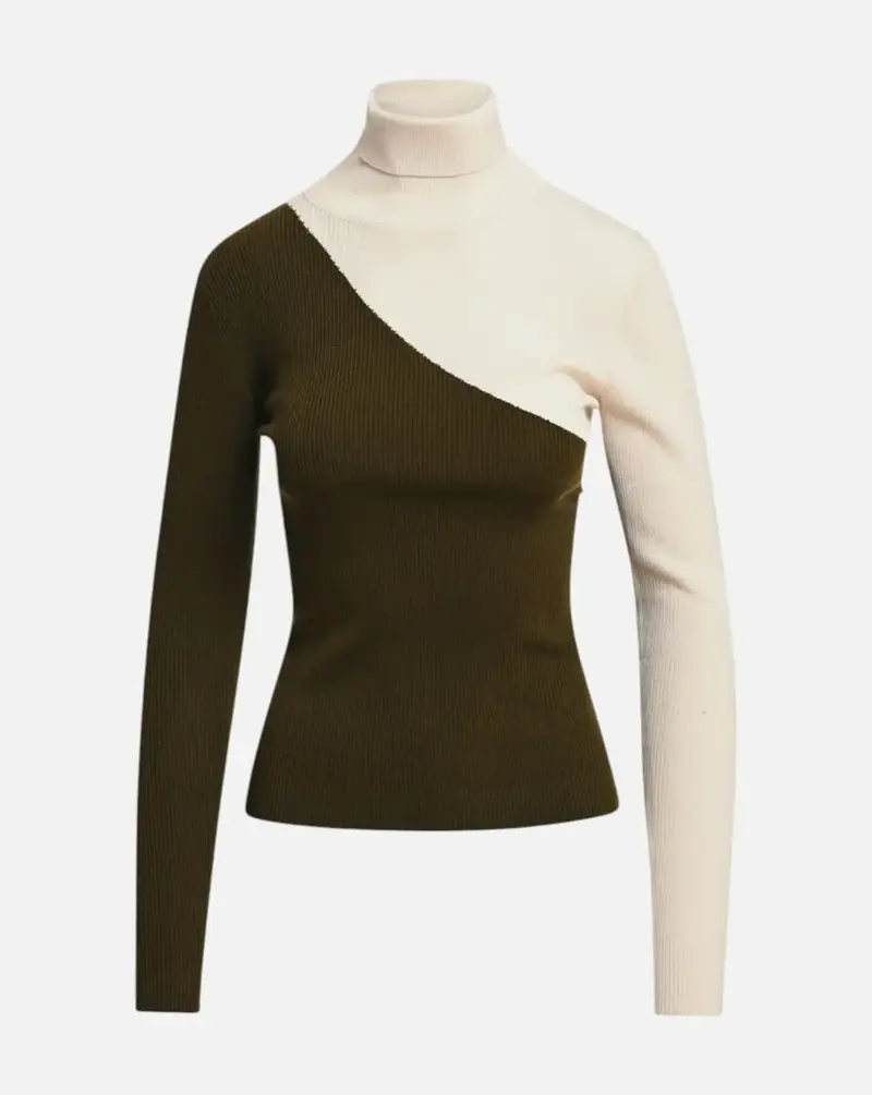 Jersey Essentiel Antwerp Koncert Bicolour Turtleneck