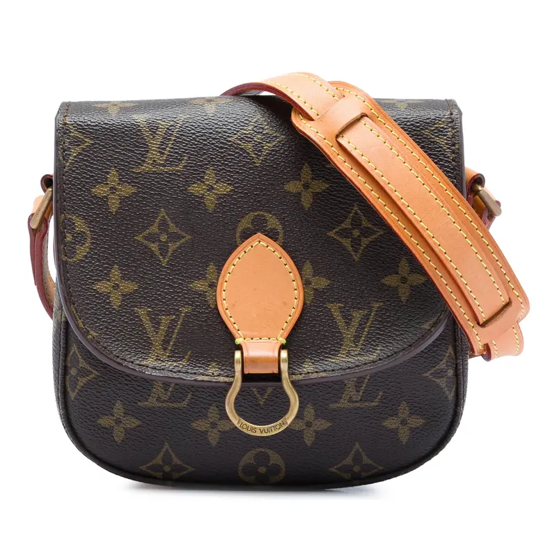 Louis Vuitton Saint Cloud PM Monogram