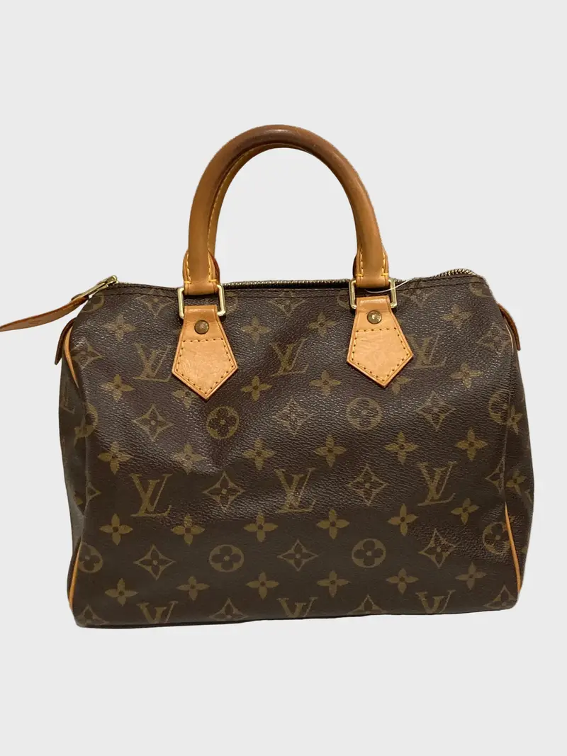 Louis Vuitton speedy 25 canvas monogram