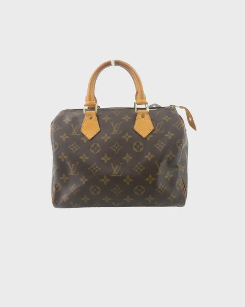 Louis Vuitton speedy 25