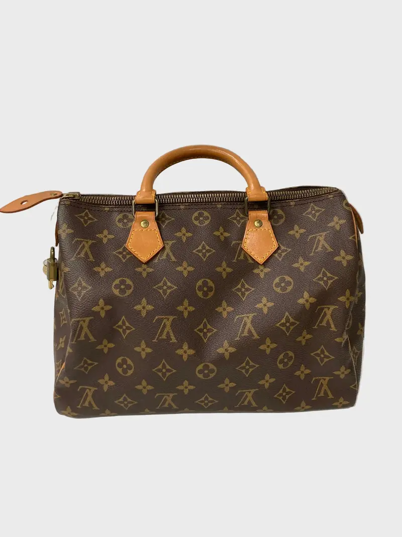 Louis Vuitton Speedy 30 Monogram