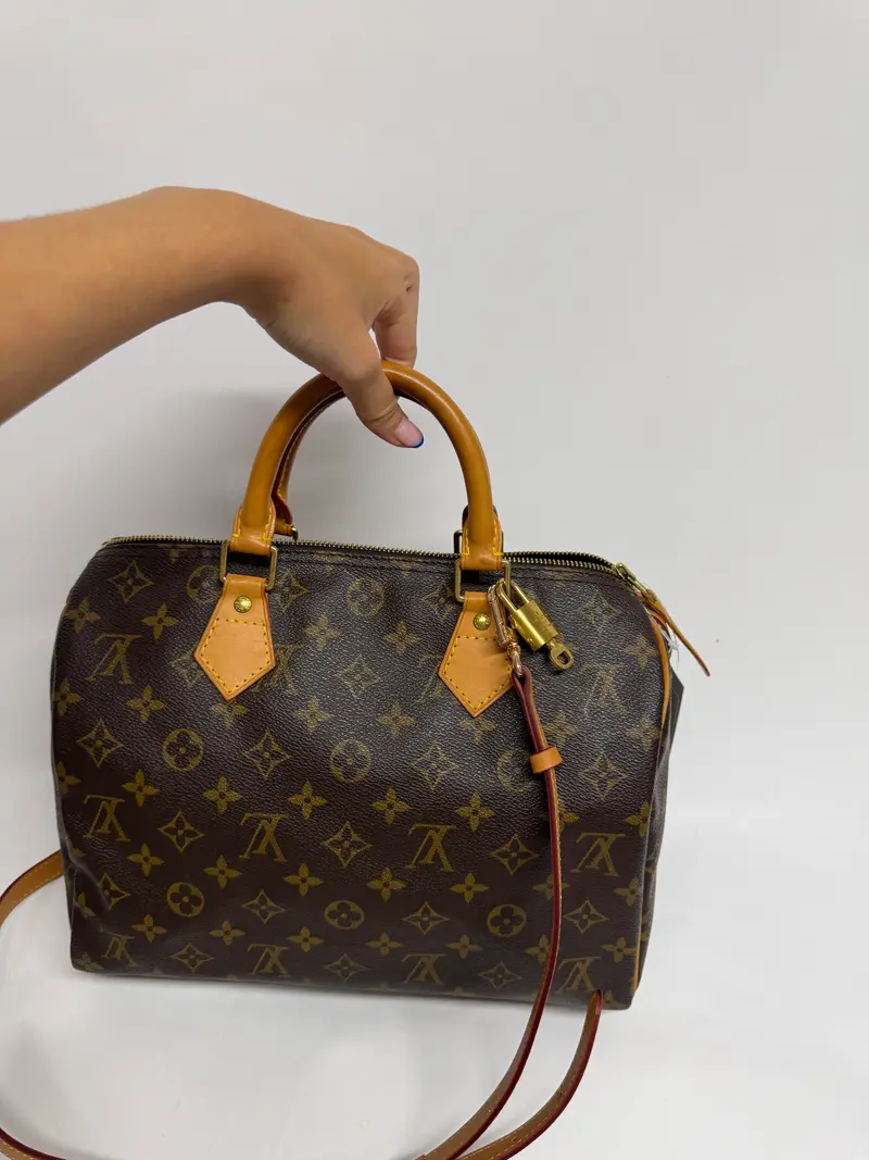 Louis Vuitton Speedy 30 Monogram