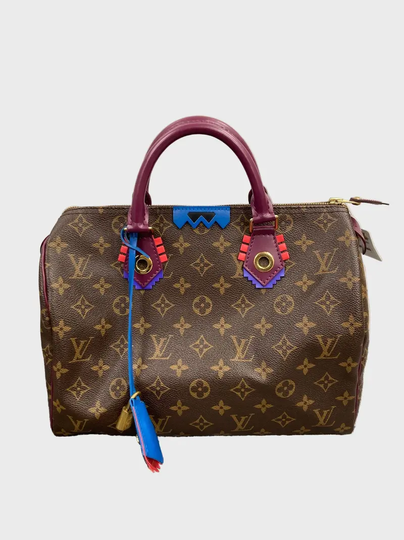 Louis Vuitton Speedy 30 Totem Monogram