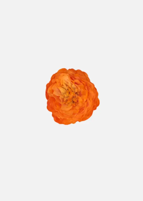 Mini Peonia Mandarina