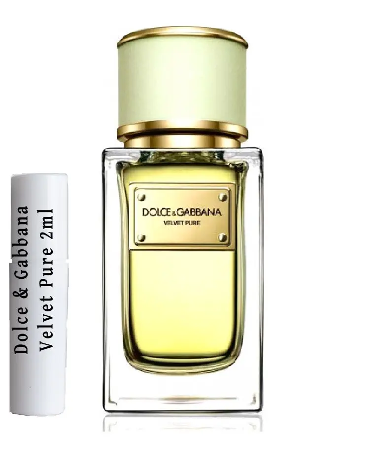 Muestras Dolce and Gabbana Velvet Pure