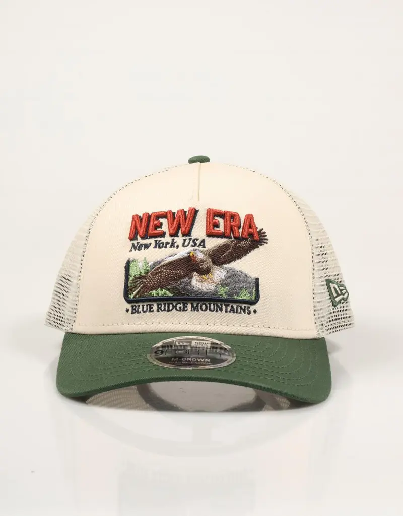 NEW ERA NEW ERA LTCCIG 60915801 91540