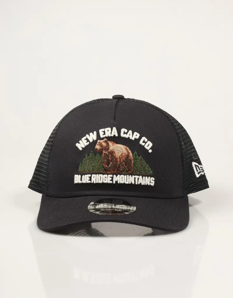 NEW ERA NEW ERA NVY 60915800 91539