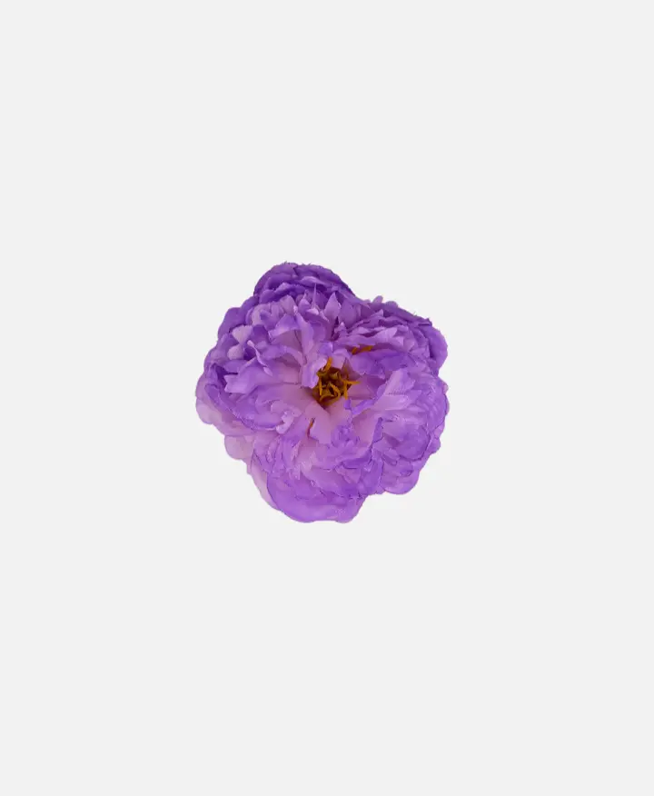 Peonia Mediana Malva