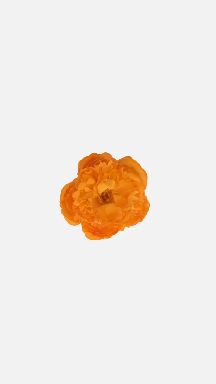 Peonia Mediana Mandarina
