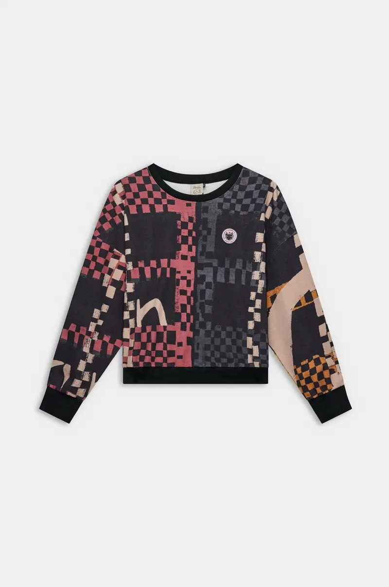 Sudadera estampada multicolor Anekke