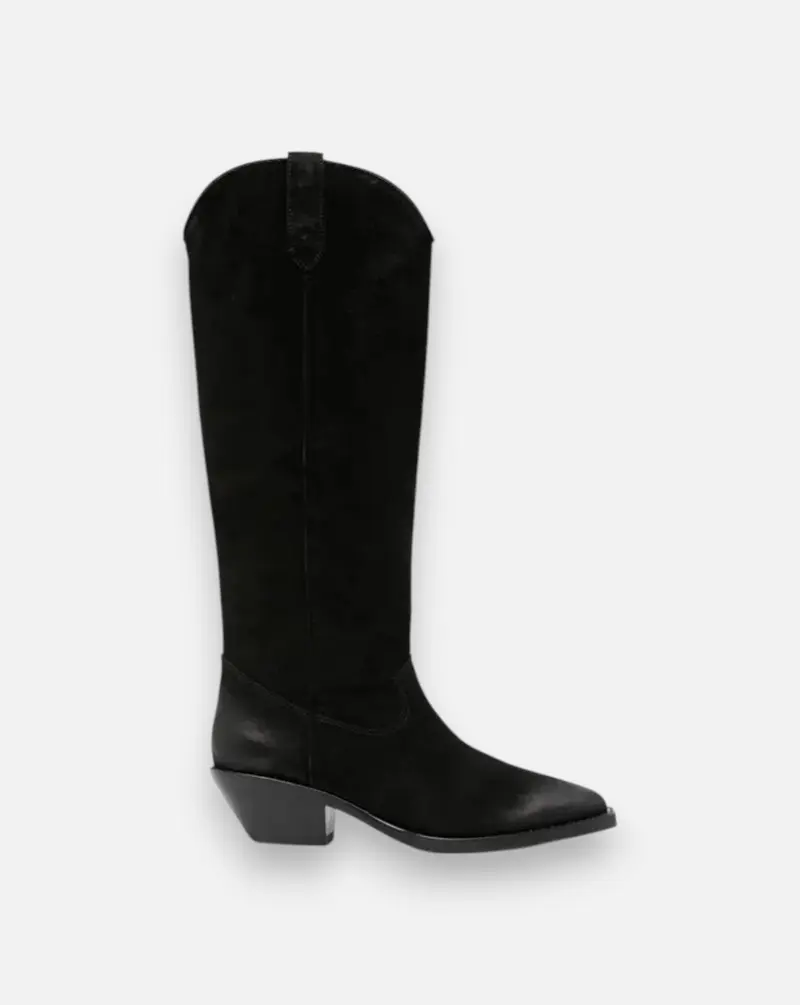 Zapatos Ash Dolly